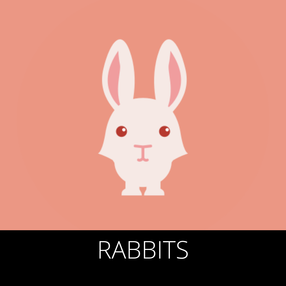 RABBITS DEMO PET STORE