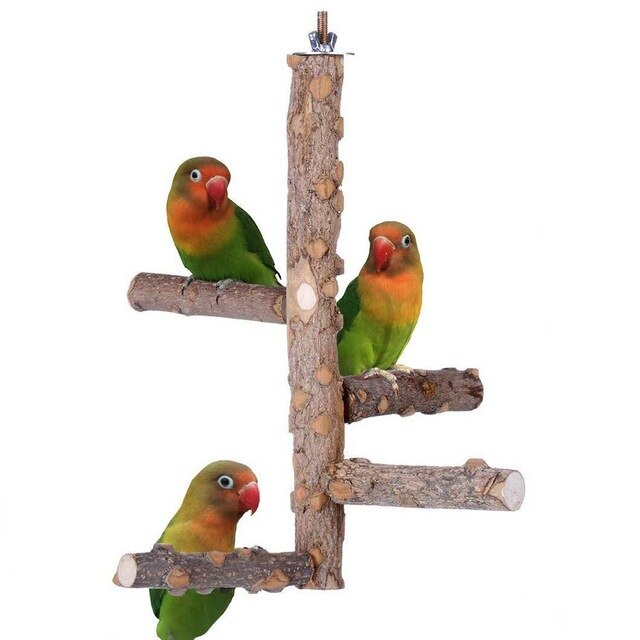 Wooden Bird Climbing Ladder