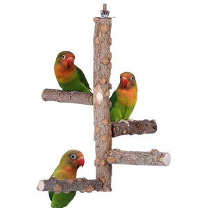 Wooden Bird Climbing Ladder