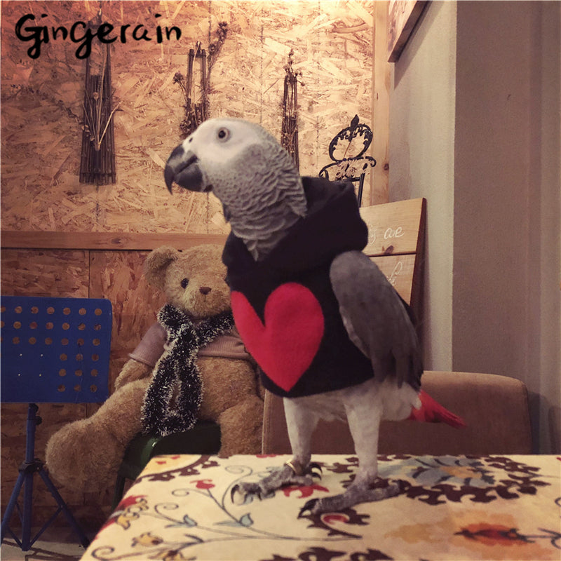 Gingerain Bird clothes