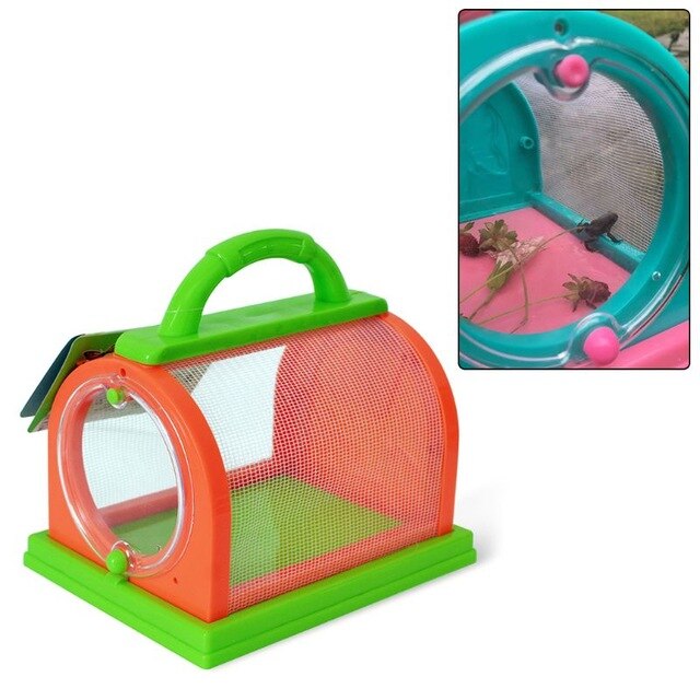 Small Pet insect Observation Box