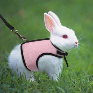 Leash Harness for Rabbit