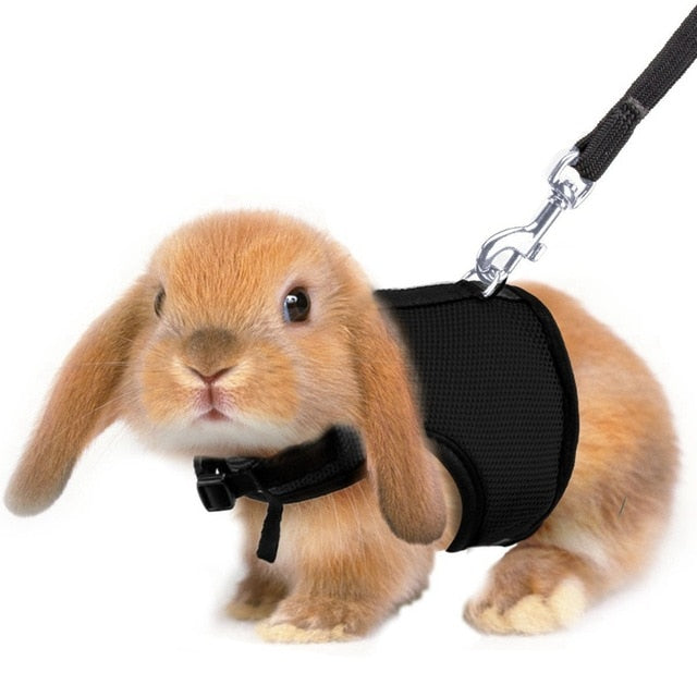 Leash Harness for Rabbit