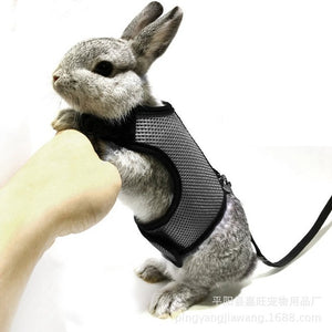 Leash Harness for Rabbit